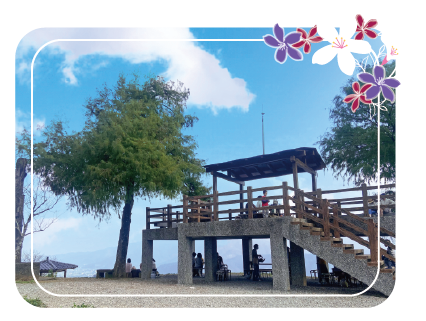 玉蘭茶園登山步道與觀景台照片